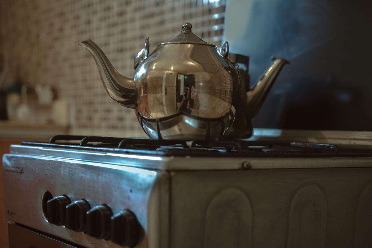 Stainless steel stovetop kettle with a curved handle